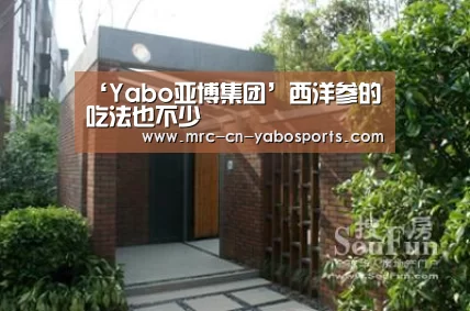 ‘Yabo亚博集团’西洋参的吃法也不少(图1) 亚博官方
