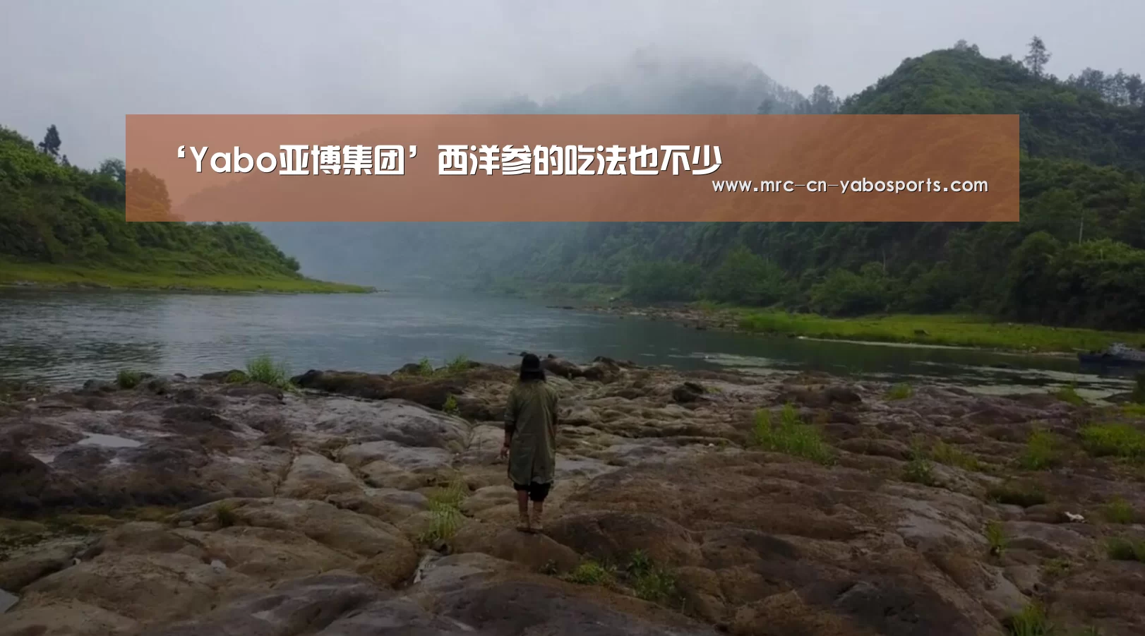 ‘Yabo亚博集团’西洋参的吃法也不少(图3) 亚博体育官网